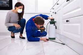 Emergency Pest Control Services in Vicksburg, MS